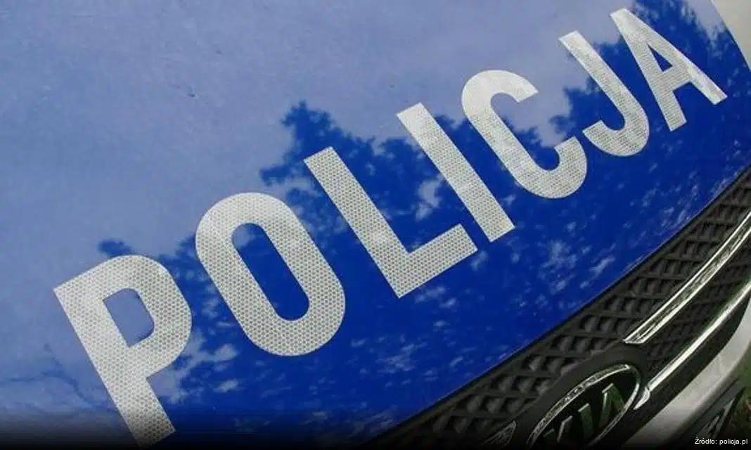 Jak bezpiecznie przewieźć świąteczną choinkę do domu?